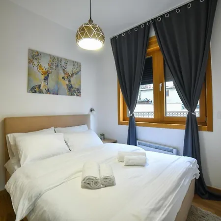 Vila Elsa Apartmani Kosta Todorovic 兹拉蒂博尔 外观 照片