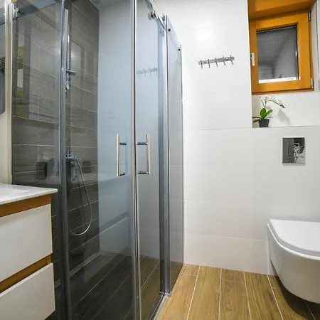 Vila Elsa Apartmani Kosta Todorovic 兹拉蒂博尔 外观 照片