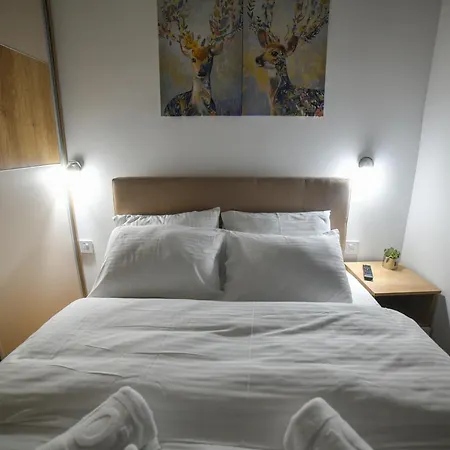 Vila Elsa Apartmani Kosta Todorovic 兹拉蒂博尔 外观 照片