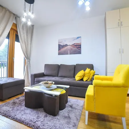Vila Elsa Apartmani Kosta Todorovic 兹拉蒂博尔 外观 照片