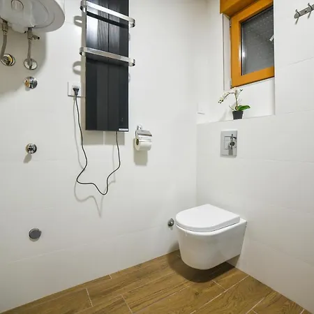 Vila Elsa Apartmani Kosta Todorovic 兹拉蒂博尔 外观 照片