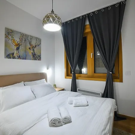 Vila Elsa Apartmani Kosta Todorovic 兹拉蒂博尔 外观 照片