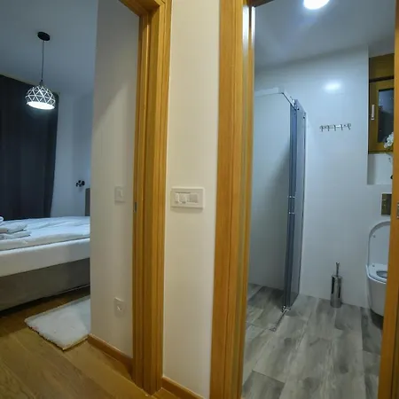 Vila Elsa Apartmani Kosta Todorovic 兹拉蒂博尔 外观 照片