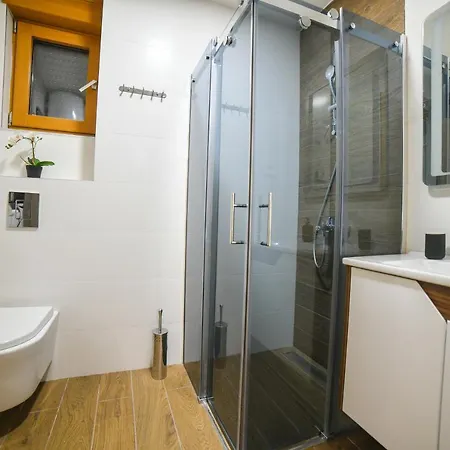 Vila Elsa Apartmani Kosta Todorovic 兹拉蒂博尔 外观 照片