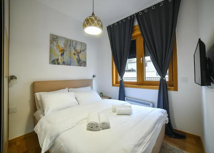 Vila Elsa Apartmani Kosta Todorovic